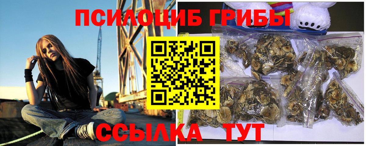 Галлюциногенные грибы мицелий  Вход с VPN  Улан-Удэ 